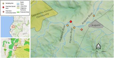 Ethnoichthyology and Ethnotaxonomy of the Kichwa Indigenous People of Arawanu (Arajuno), in the Ecuadorian Amazon